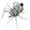 Aranha Outono