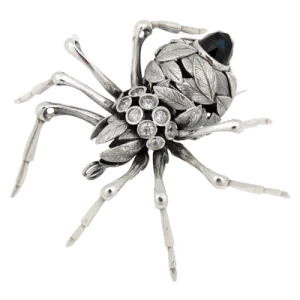 Aranha Outono
