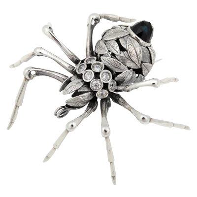 Aranha Outono