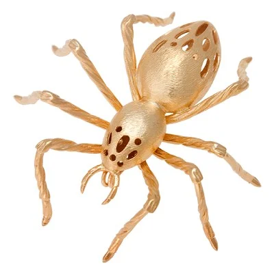 Aranha Sicarus