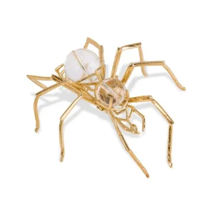 Aranha Cristal