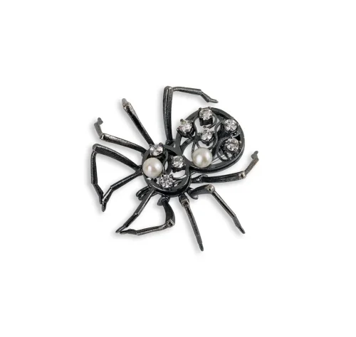 Aranha negra