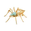 Aranha Cornocópia