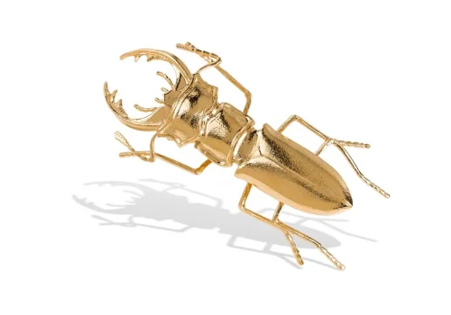 Escaravelho dourado