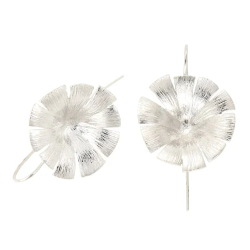 Gerbera