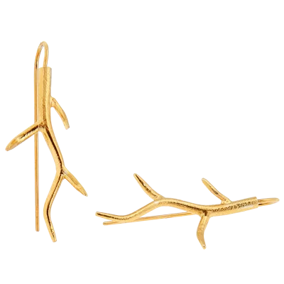 Troncos