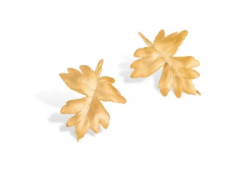 Folhas de Plátano