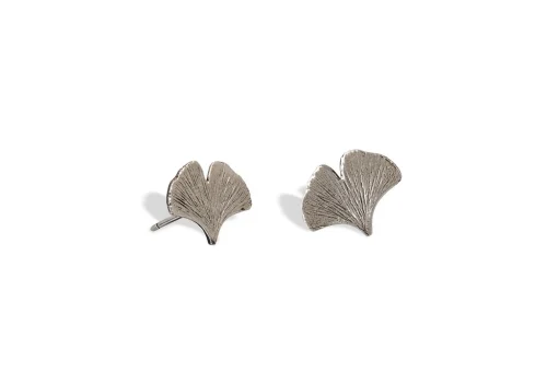 Ginkgo Biloba