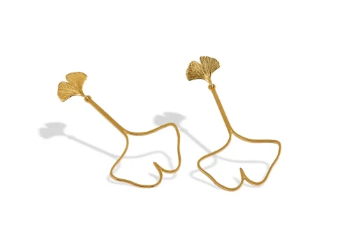 Gingko Biloba