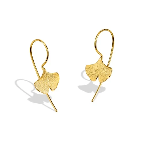 Ginkgo Biloba