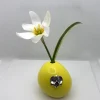 Orquidea