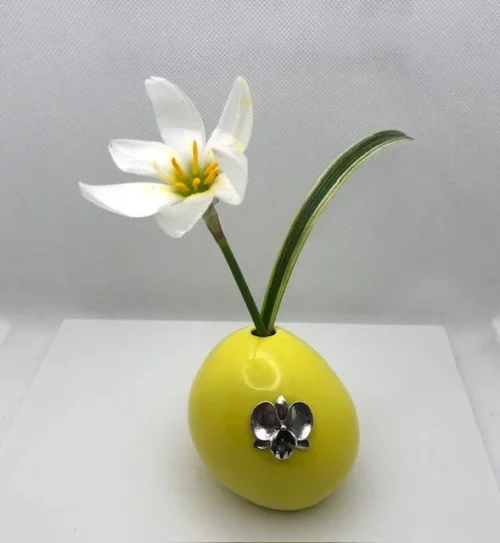 Orquidea