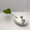 Hortênseas