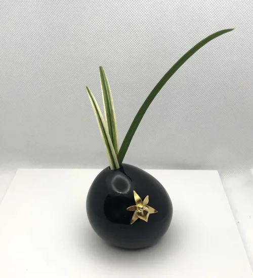 Orquidea