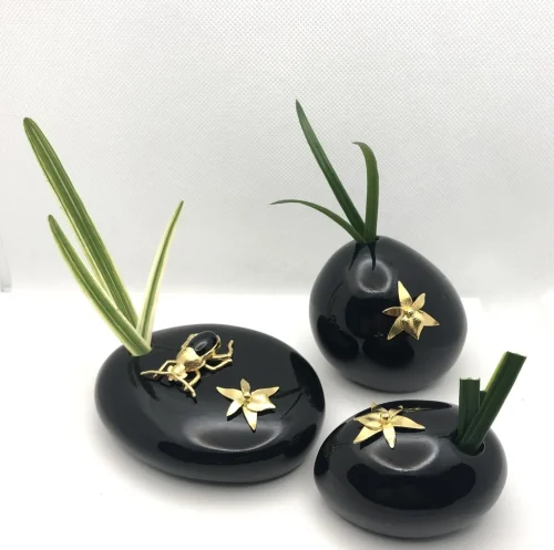 Orquideas