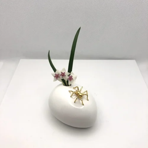 Aranha