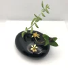 Orquideas