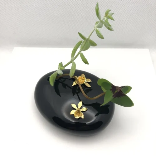 Orquideas