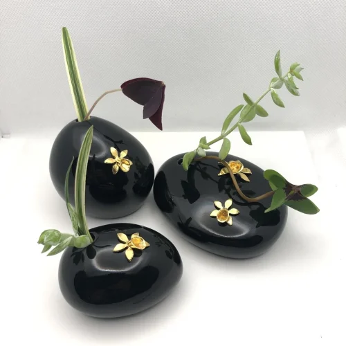 Orquidea