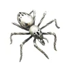 Aranha prata
