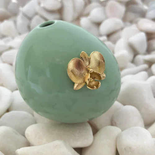 Orquidea