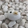 Aranha