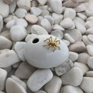 Aranha