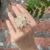 Ovos de girino