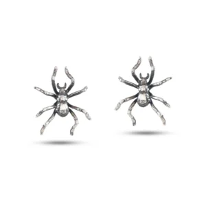 Aranhas de jardim