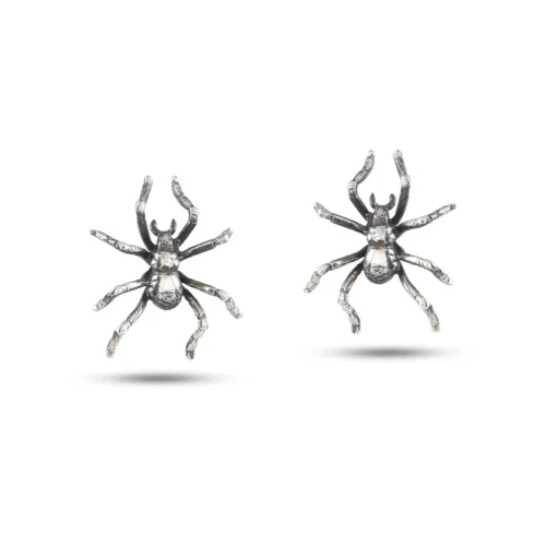 Aranhas de jardim