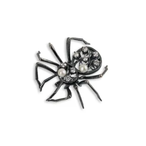 Aranha negra