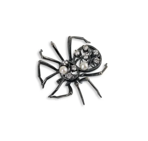 Aranha negra