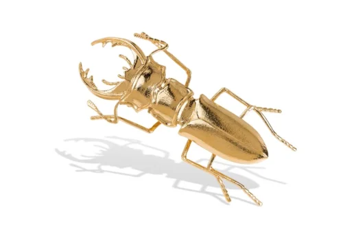 Escaravelho dourado